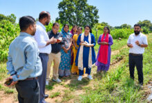 बिहान से आत्मनिर्भरता की राह पर ग्रामीण महिलाएं, कलेक्टर ने सराही मेहनत और हुनर