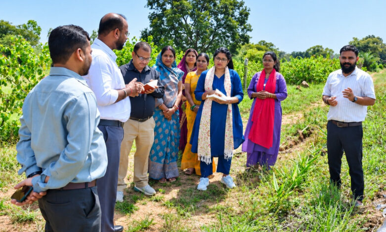 बिहान से आत्मनिर्भरता की राह पर ग्रामीण महिलाएं, कलेक्टर ने सराही मेहनत और हुनर बिहान से आत्मनिर्भरता की राह पर ग्रामीण महिलाएं, कलेक्टर ने सराही मेहनत और हुनर
