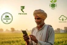 PM Kisan 24वीं किस्त: किसानों को कब मिलेंगे 2,000 रुपये? जानें पेमेंट स्टेटस चेक करने का तरीका