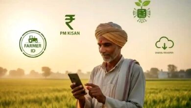 PM Kisan 24वीं किस्त: किसानों को कब मिलेंगे 2,000 रुपये? जानें पेमेंट स्टेटस चेक करने का तरीका