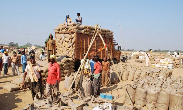तीन साल में 437 लाख मीट्रिक टन धान की खरीदी, किसानों को मिला 1.40 लाख करोड़ रुपये से अधिक का भुगतान तीन साल में 437 लाख मीट्रिक टन धान की खरीदी, किसानों को मिला 1.40 लाख करोड़ रुपये से अधिक का भुगतान