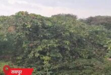 छत्तीसगढ़ में चक्रवाती तूफान का असर, रायपुर-रायगढ़ में बारिश; बस्तर संभाग में अलर्ट की संभावना