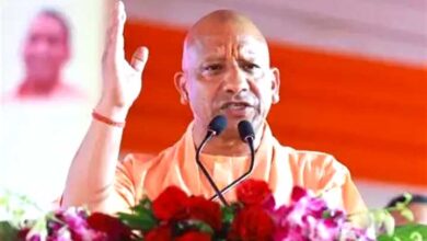पशुपालन से आत्मनिर्भर बनेंगे ग्रामीण परिवार, किसानों की आमदनी बढ़ाने की तैयारी