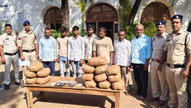 बलौदाबाजार में गांजा तस्करी का भंडाफोड़, 7 गिरफ्तार; 25.41 लाख का माल जब्त
