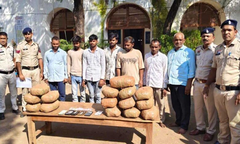 बलौदाबाजार में गांजा तस्करी का भंडाफोड़, 7 गिरफ्तार; 25.41 लाख का माल जब्त