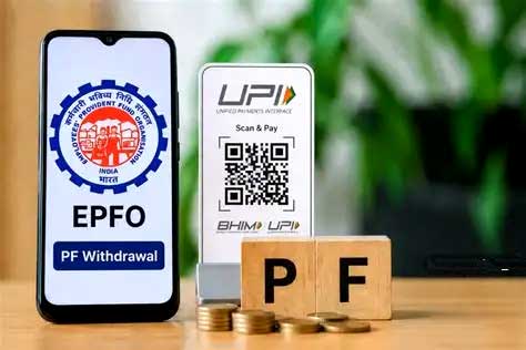 EPFO के नए नियम: PF से कितनी बार निकाल सकते हैं पैसा? बीमारी, पढ़ाई, शादी और घर के लिए जानें नियम